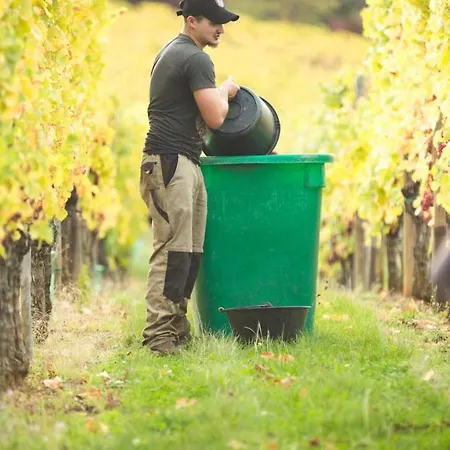 Semesterbostad Tokay Vigneron *