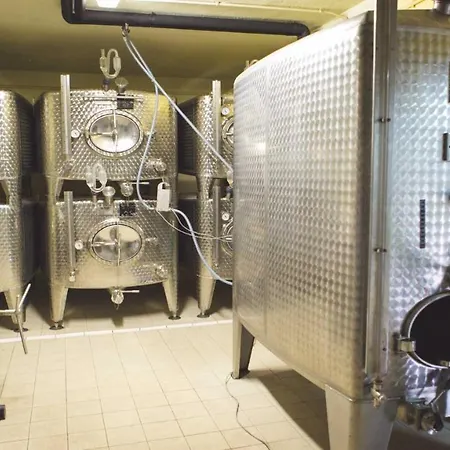 Tokay Vigneron